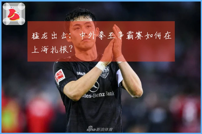猛龙出击：中外拳王争霸赛如何在上海扎根？
