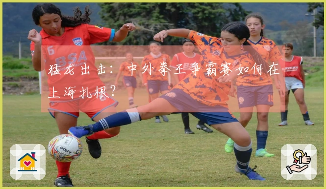 猛龙出击：中外拳王争霸赛如何在上海扎根？