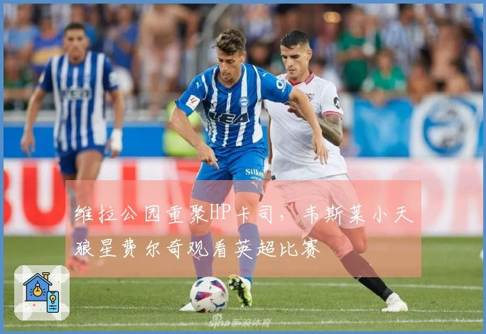 维拉公园重聚HP卡司，韦斯莱小天狼星费尔奇观看英超比赛
